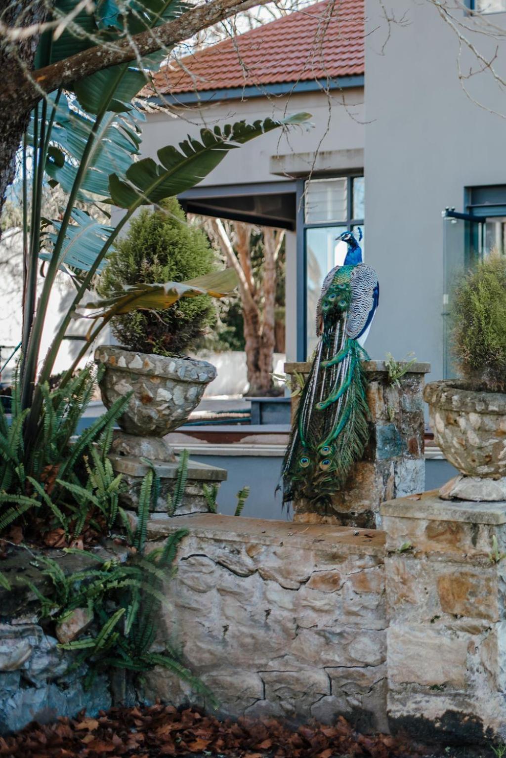 The Hawthorn Boutique Hotel George Exteriér fotografie